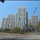 유성아파트 정문 앞 횡단보도 이미지