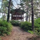 고성산 정상 전망대 이미지