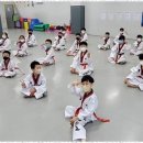 튼튼아이태권도 이미지