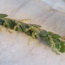 아이코리아부속새세대유치원 이미지