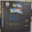 목포자연사박물관 | [목포 자연사박물관]아이와 가볼만한 곳 추천 목포 자연사박물관 관람후기 포토존 안내
