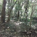 강정동-13 이미지