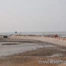 광명공판장 | 계획하고 떠난 캠핑 후기_실미도 유원지(+가락공판장&amp;고릴라캠핑 광명점&amp;코스트코 광명점)_200410-0411