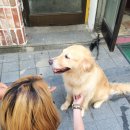 수원-0906 이미지