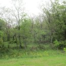 장도공원 이미지