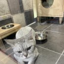 요미야 놀자 이미지