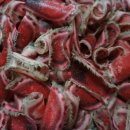 대산흑염소농장 이미지