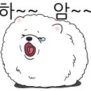 선셋101 이미지
