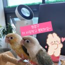 리프패럿 - 연수구 하모니로138번길 11 | 리프패럿