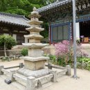 삼홍주 이미지