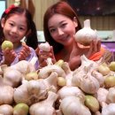 롯데프리미엄푸드마켓공덕점 조선비즈
