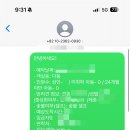 핑코하우스 이미지