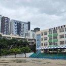 대구동산초등학교 이미지