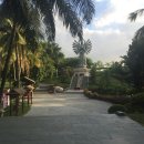 봉황민속촌식당 | 중국 심천, 선전 여행 민속촌 공연(말이 등장해요!🐎) | 선전중국민속문화촌 | 부모님 해외여행