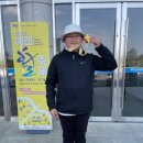 새일초등학교 이미지