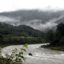 정선농장 이미지