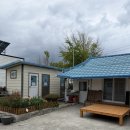 나무 민박 | 포항 촌캉스 숙소 추천 포항민박집 월포 오동나무민박집 감성 미쳤다