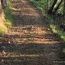 율리 휴양촌 이미지