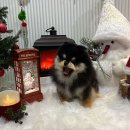 멍그라미 이미지