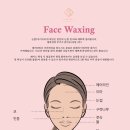 세정헬스사우나 이미지