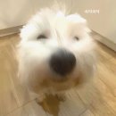 스테이163-2 이미지