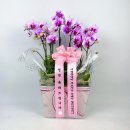 한상호내과