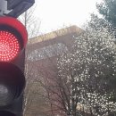 인헌초등학교 앞 이미지