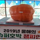 하동슈퍼 Daum카페