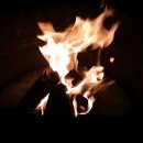 숲속의 쉼터 이미지