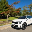 충남카공업사 이미지