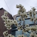 노담지숯불갈비 이미지