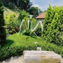 공룡게임장 이미지