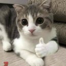 슬아