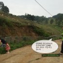 번창목장 Daum카페