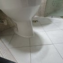 계룡푸른마을아파트 이미지