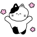 미인약국 이미지