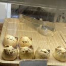 화계절