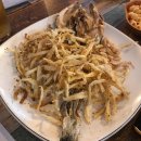 시때호프 이미지