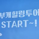 청양이맘때