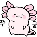스토리터치