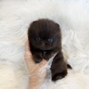 수원-0070 이미지