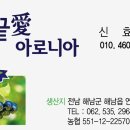 땅끝아로니아