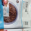 퍼스트 독앤캣 이미지
