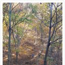 마곡사 주차장2 이미지