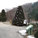 가평파인힐펜션 이미지