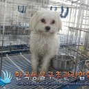 자양번영로 이미지