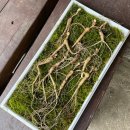 씨돌농장 이미지