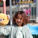 제석태권도 이미지