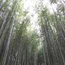 부춘상사 | 오인교의 전라도누정기행-광주 식음당(息陰堂).명발재