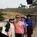 고시골 이미지